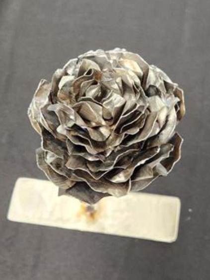 WE Silver Rose